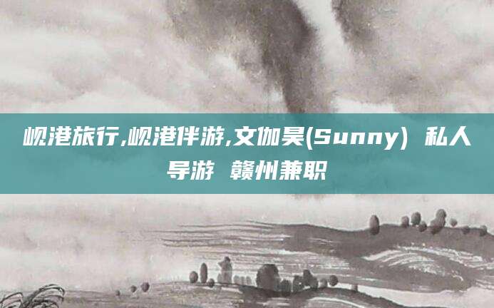 玉树岘港旅行,岘港伴游,文伽昊(Sunny) 私人导游 赣州兼职
