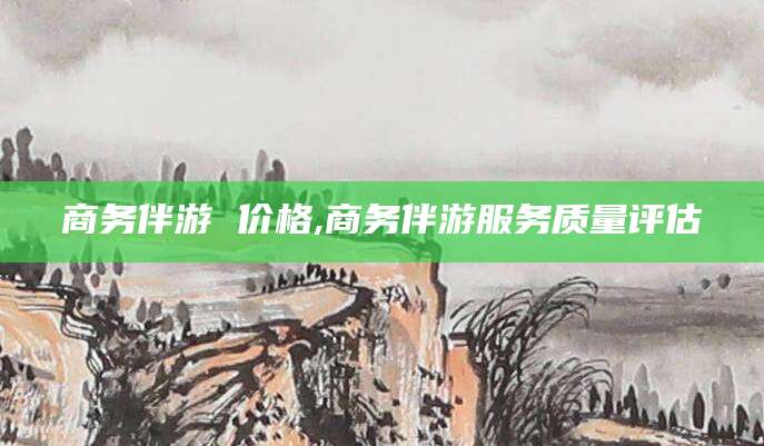 商务伴游 价格,商务伴游服务质量评估